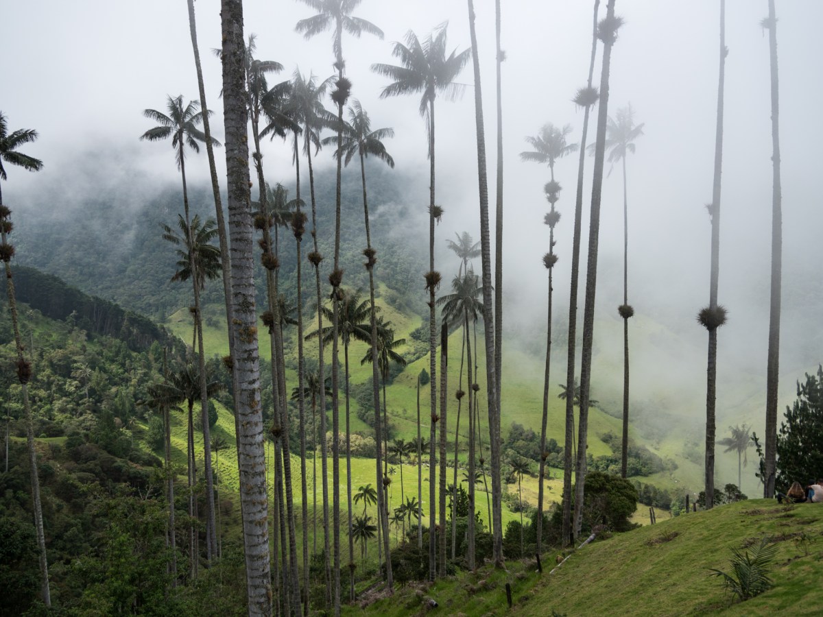 SALENTO (Parte 3) – Colombia&nbsp;2024